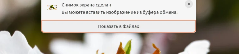 Захватываем экран Ubuntu: 2 способа сделать идеальный скриншот