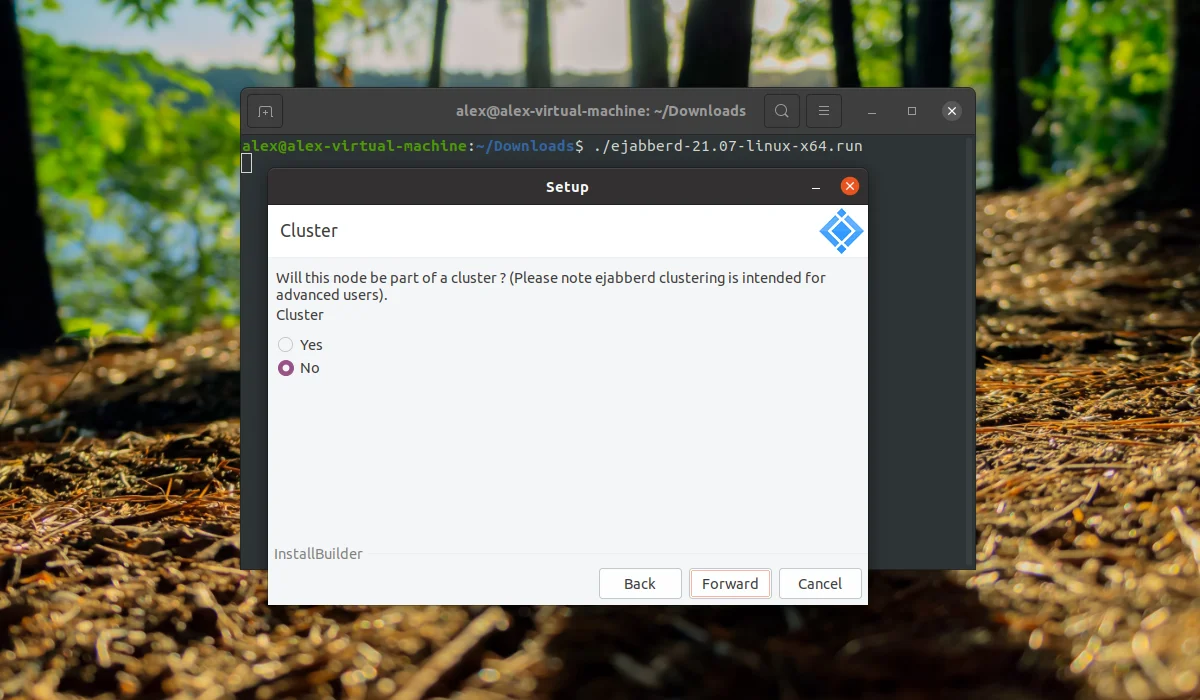 Свой Jabber-сервер на Ubuntu 20.04 за 5 минут: полный гайд по установке ejabberd