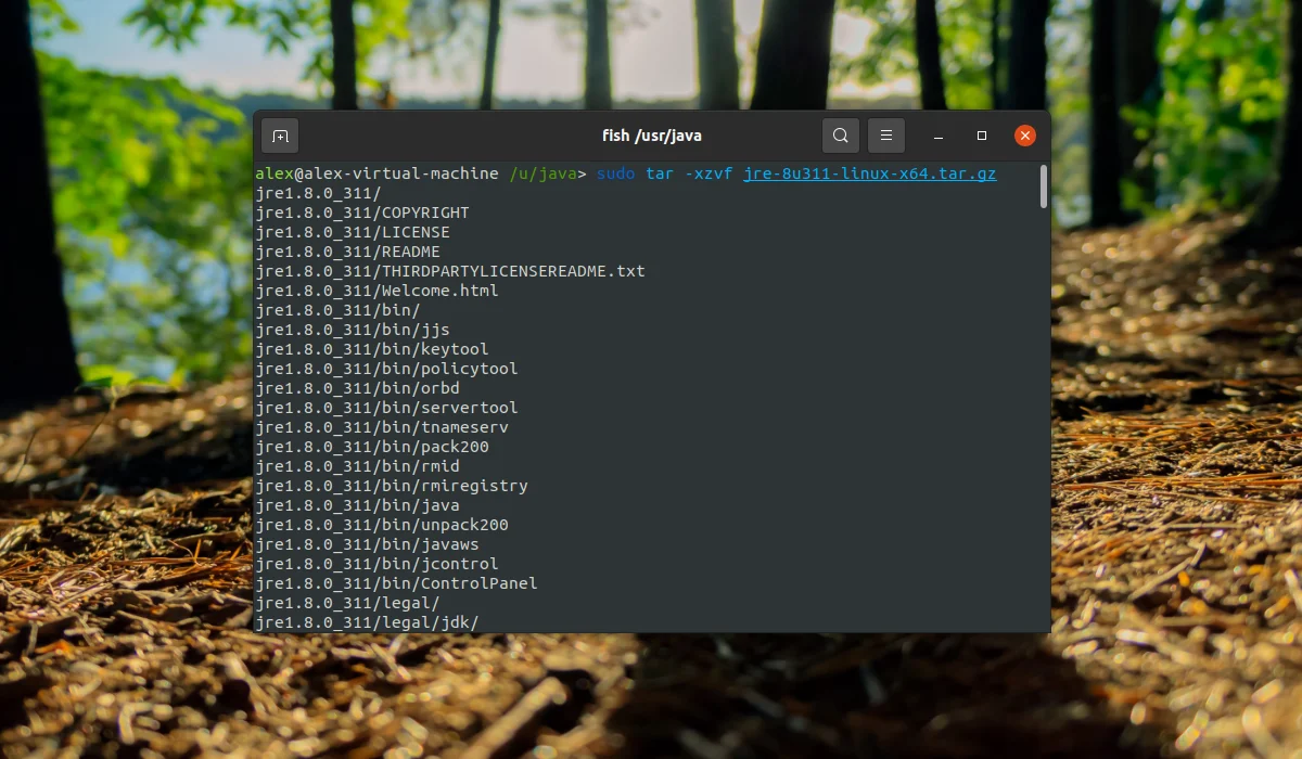 Java в Linux: Полное руководство по установке JDK и JRE для Ubuntu, CentOS и Arch