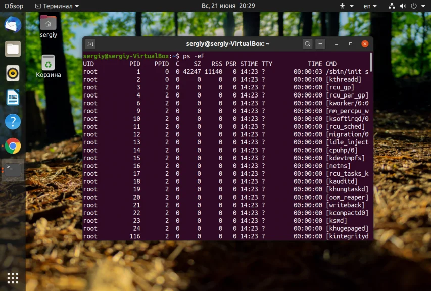 Процессы Linux: как увидеть всё, что скрыто от глаз