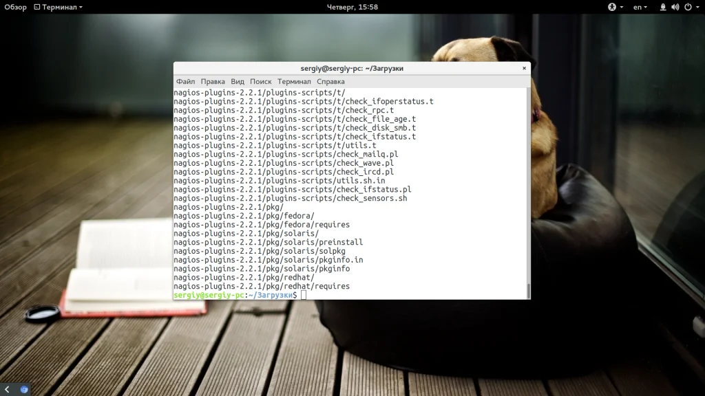 Nagios в Ubuntu: Полная установка и настройка системы мониторинга за 30 минут
