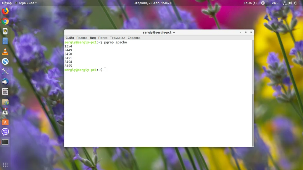 PID процесса в Linux: 4 способа найти и обезвредить любой процесс