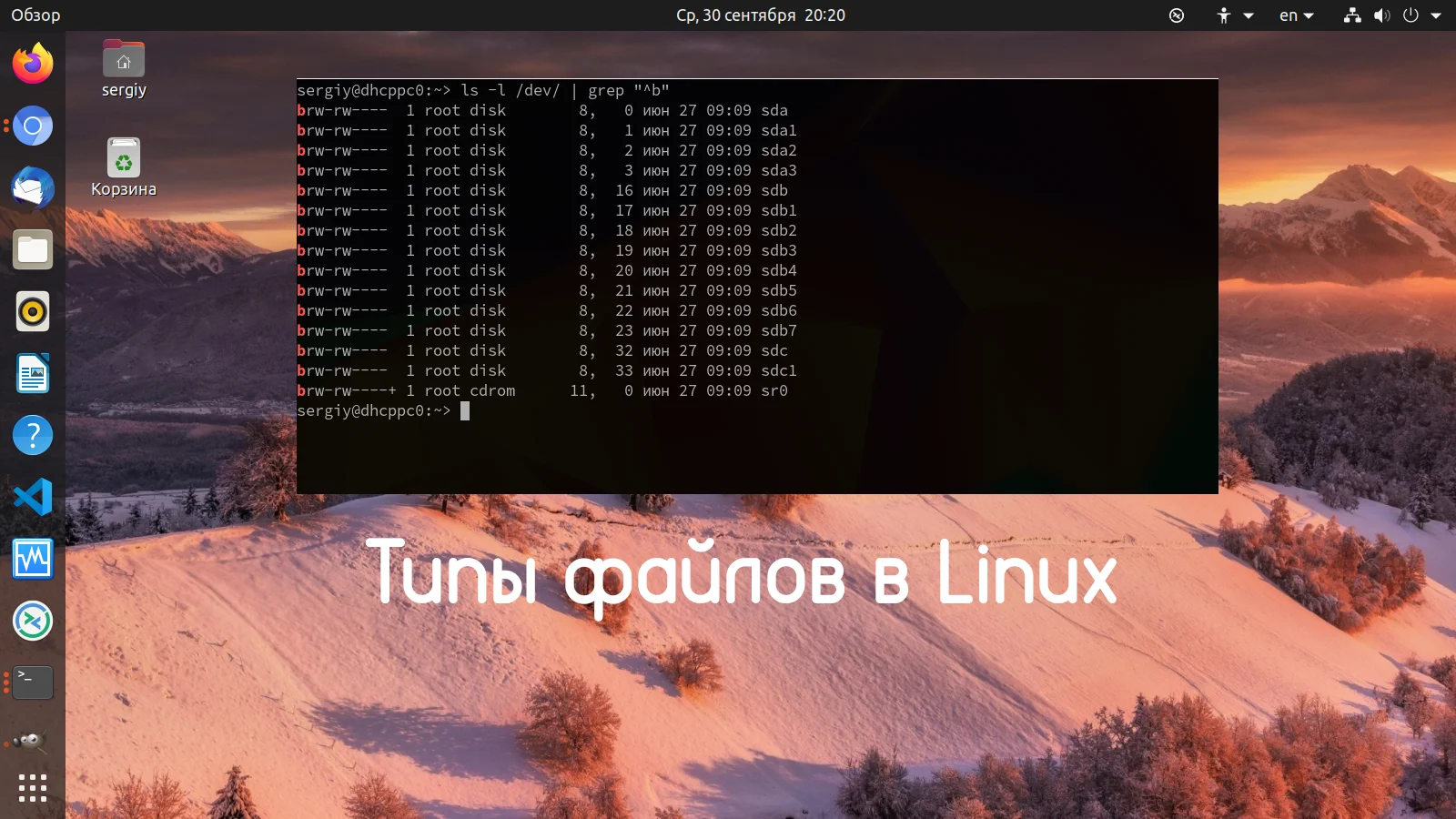 Всё есть файл: Как устроена файловая система Linux и почему это важно знать