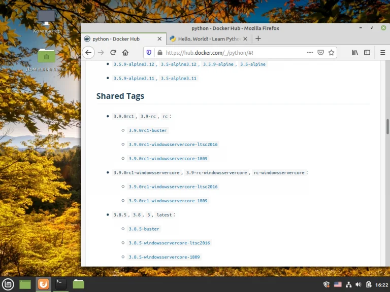 Python 3.9 в Linux Mint: Полная инструкция по установке и настройке