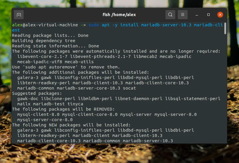 MariaDB в Ubuntu 20.04: Полное руководство по установке и настройке