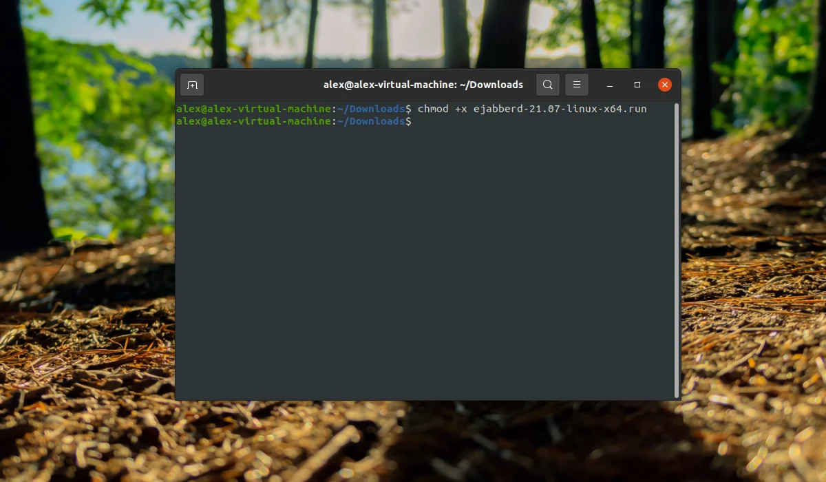 Свой Jabber-сервер на Ubuntu 20.04 за 5 минут: полный гайд по установке ejabberd