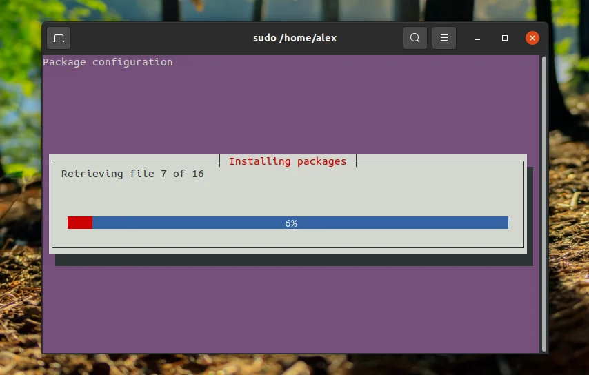 LAMP на Ubuntu 20.04: Полное руководство по установке и настройке веб-сервера