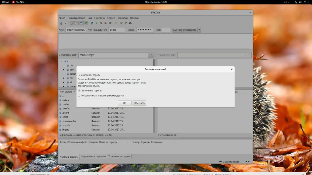 FileZilla: Полное руководство по работе с FTP-клиентом для начинающих