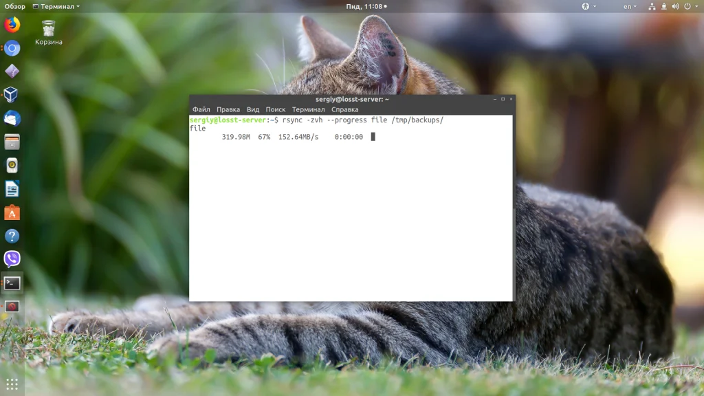 Rsync: Полное руководство по синхронизации файлов с примерами команд