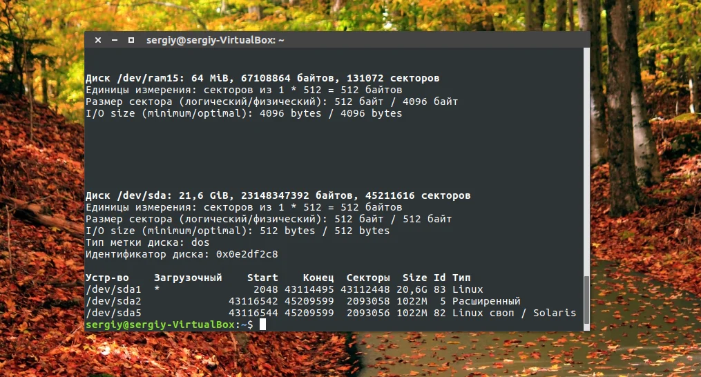 Где найти диски в Linux: 5 способов посмотреть все подключенные накопители
