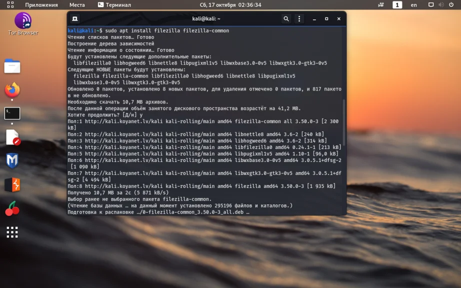 Kali Linux: Полная настройка системы для работы после установки