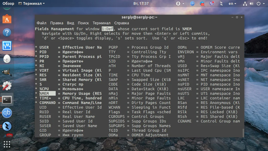 TOP в Linux: Полный гид по мониторингу системы, о котором вы не знали