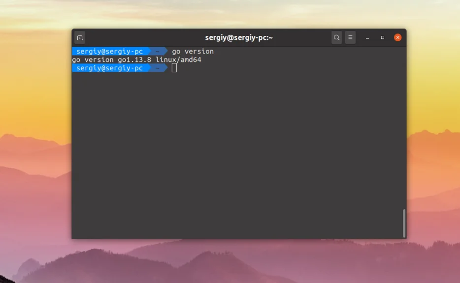 Golang на Ubuntu 20.04: Быстрая установка и первый код