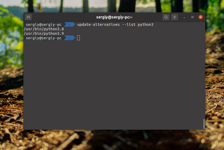 Python 3 на Ubuntu: Установи последнюю версию за 5 минут!
