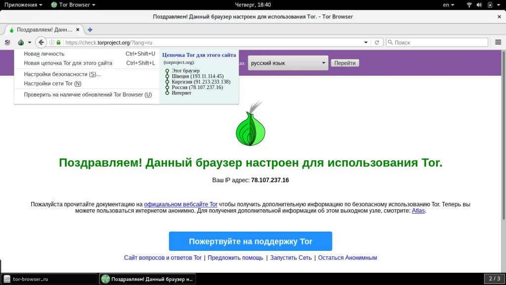 Tor Browser: Полная инструкция по анонимности в сети для каждого
