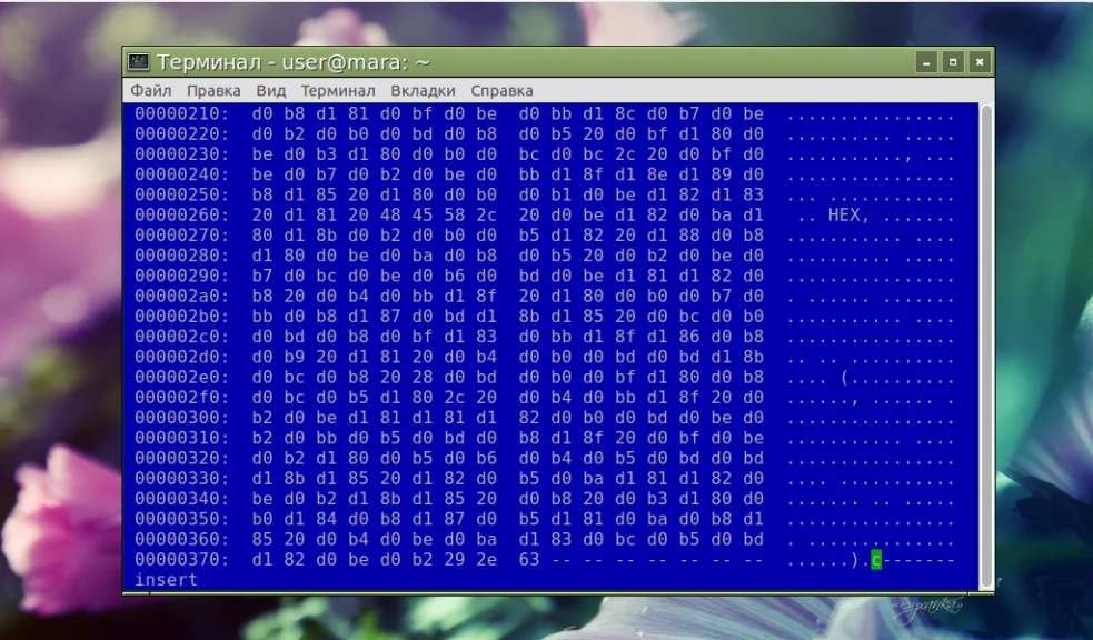 Загляни под капот файла: Топ-15 HEX-редакторов для Linux