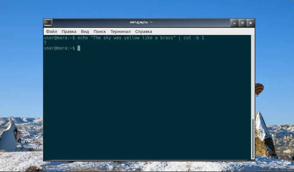 Команда cut в Linux: как легко вырезать нужные части текста