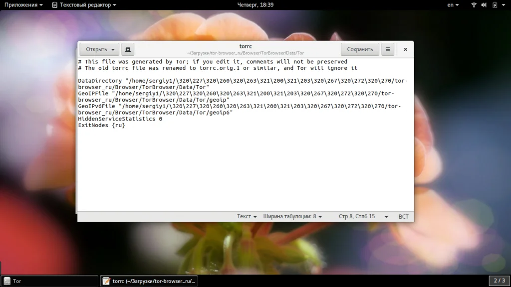 Tor Browser: Полная инструкция по анонимности в сети для каждого