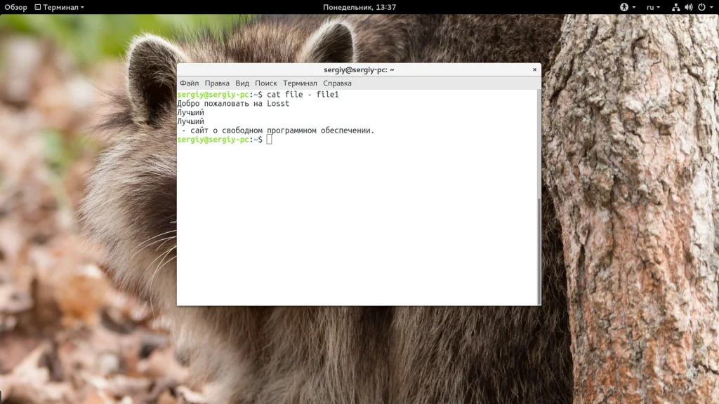 Команда cat в Linux: Секреты, о которых вы не знали