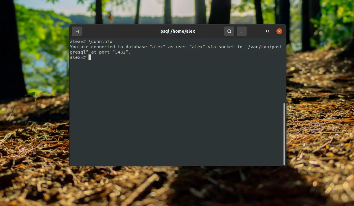 PostgreSQL в Ubuntu: Полная установка и настройка за 10 минут