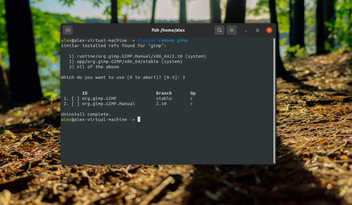GIMP в Ubuntu: 4 простых способа установить мощный фоторедактор