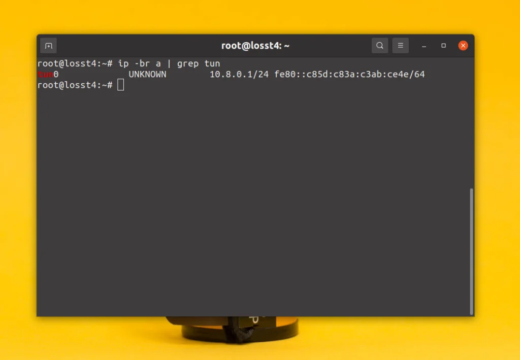 Забудьте о смене IP: Как закрепить постоянный адрес для устройств в OpenVPN