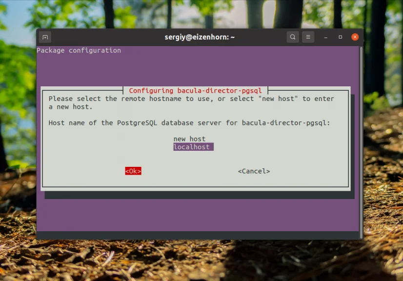 Bacula: Настройте надежное резервное копирование на Linux за 6 шагов