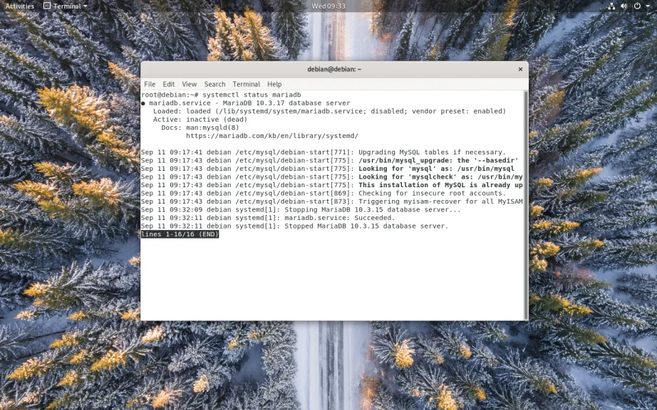 MariaDB на Debian 10: Полное руководство по установке и настройке для вашего сервера