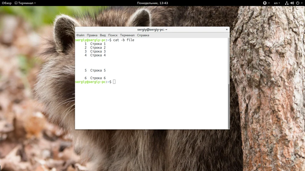 Команда cat в Linux: Секреты, о которых вы не знали