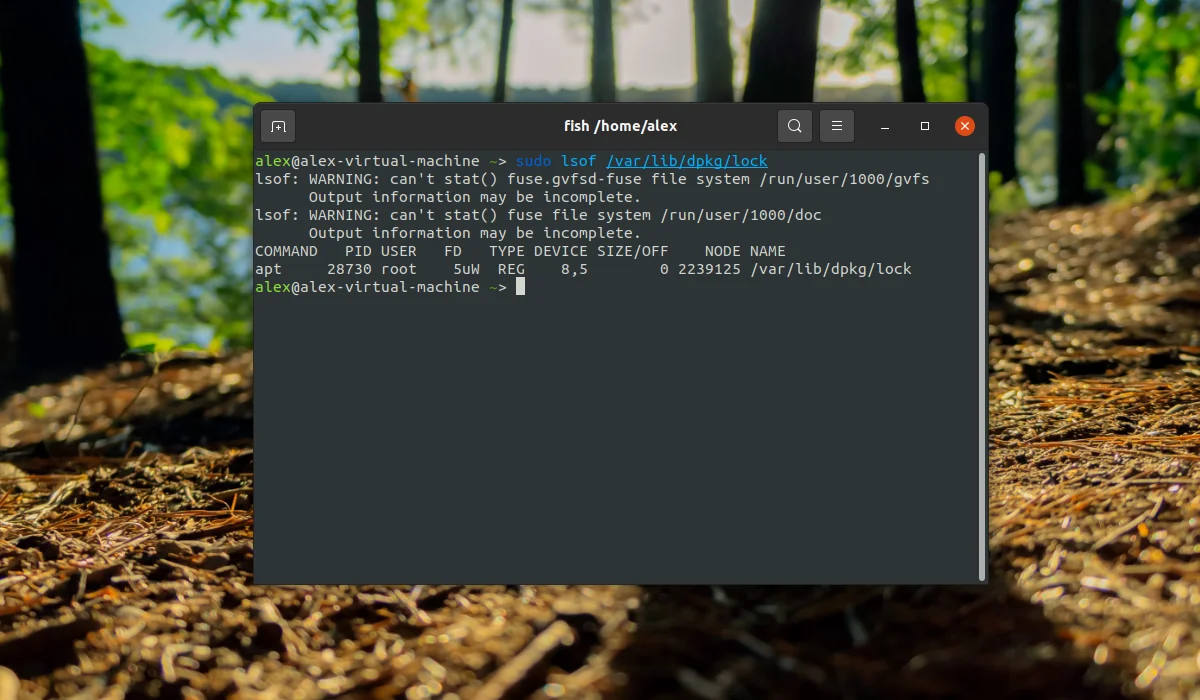 Завис apt в Ubuntu? Исправляем ошибку блокировки пакетного менеджера за 2 минуты