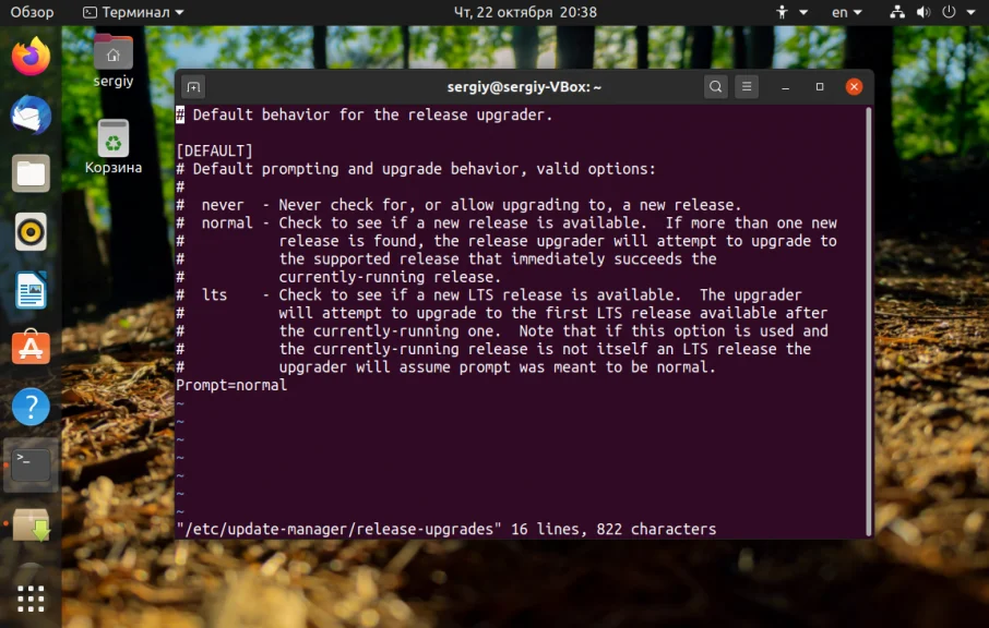 Обнови Ubuntu до 20.10: пошаговая инструкция за 5 минут