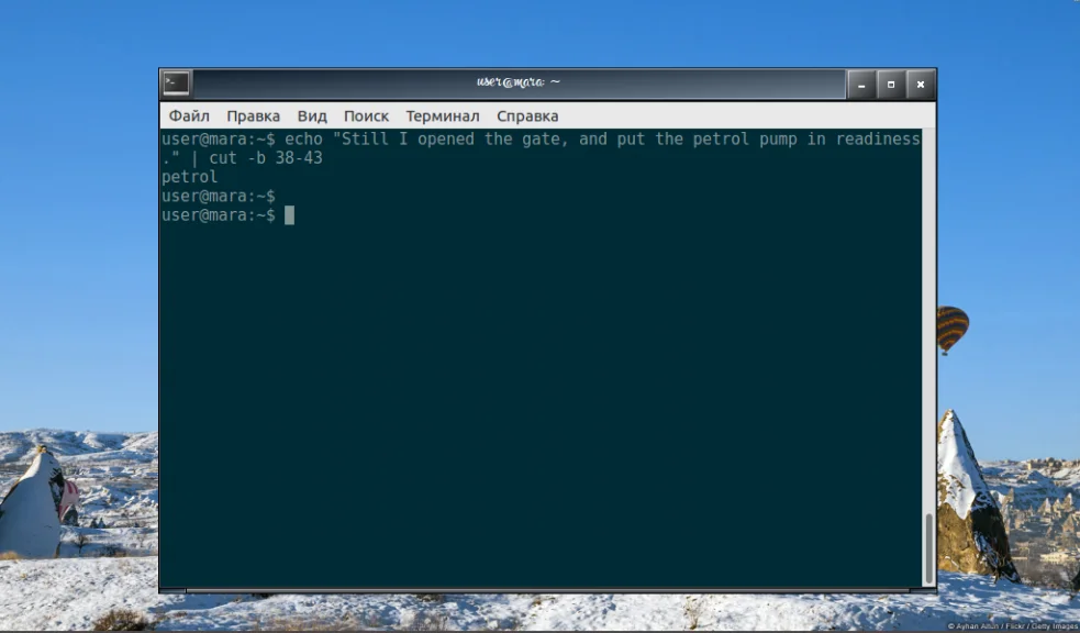 Команда cut в Linux: как легко вырезать нужные части текста