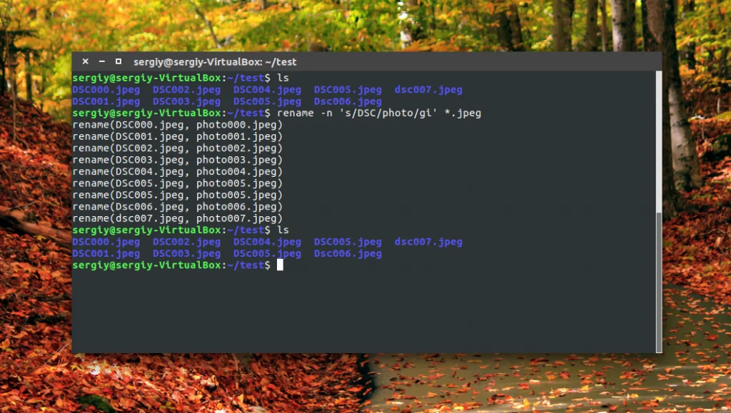 Переименование файлов в Linux: 3 способа для новичков и профи