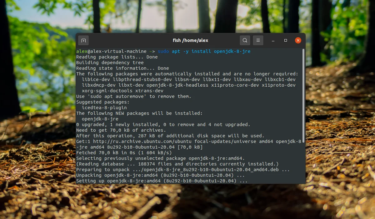 Java в Ubuntu 20.04: Полное руководство по установке всех версий