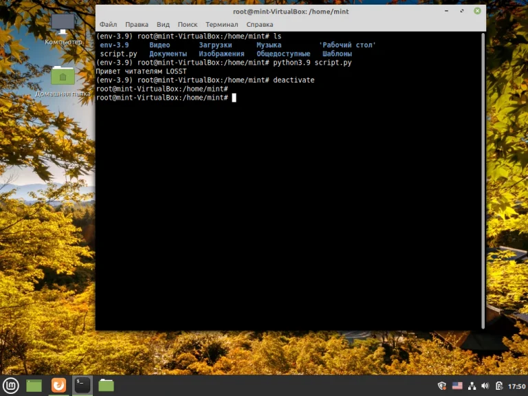 Python 3.9 в Linux Mint: Полная инструкция по установке и настройке