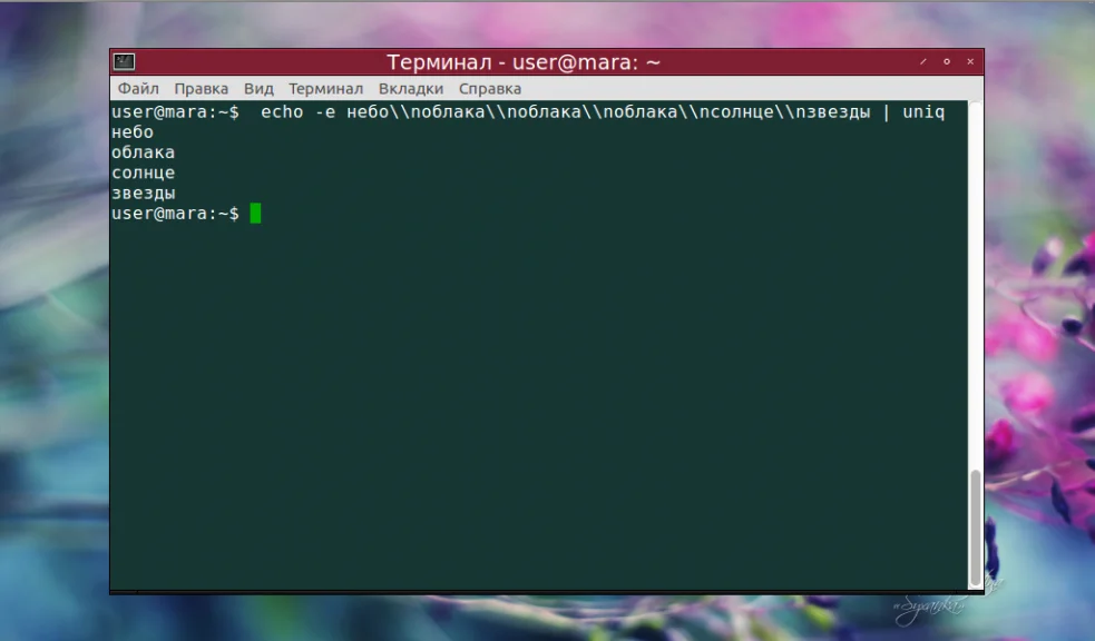 Uniq в Linux: Как легко найти и убрать дубликаты в тексте