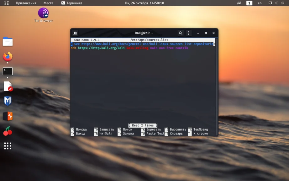 Kali Linux: Полное руководство по обновлению системы для профессионалов