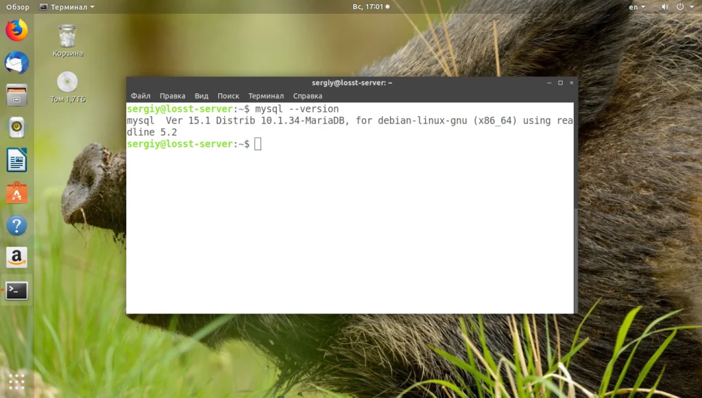 Полное удаление MySQL в Ubuntu: пошаговый гайд для чистого удаления