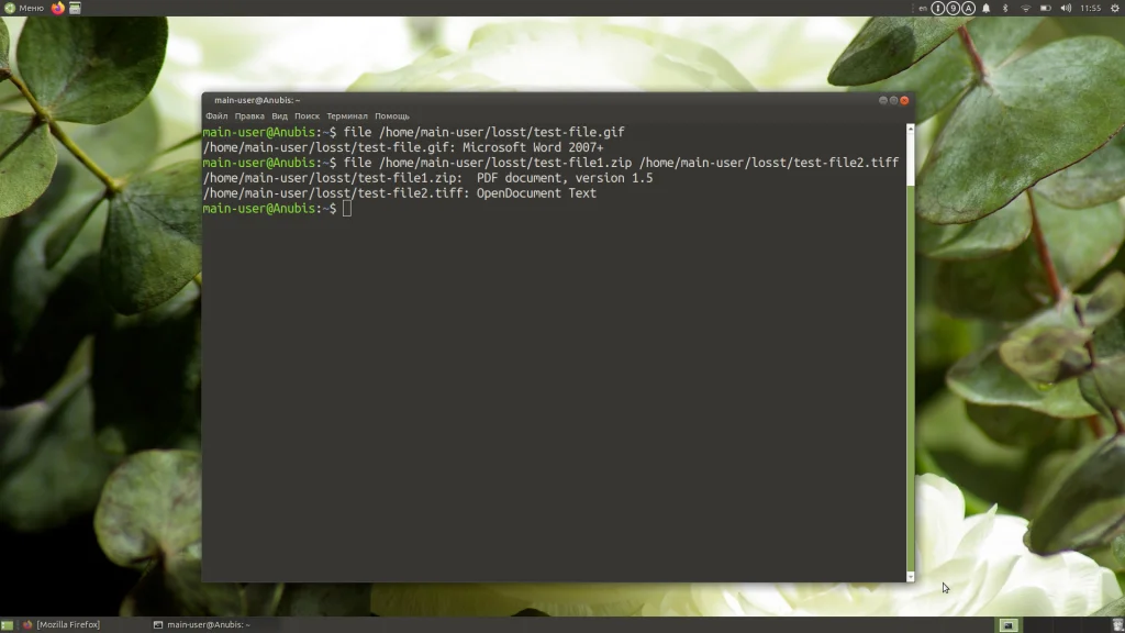 Команда file в Linux: Как узнать, что скрывает файл на самом деле