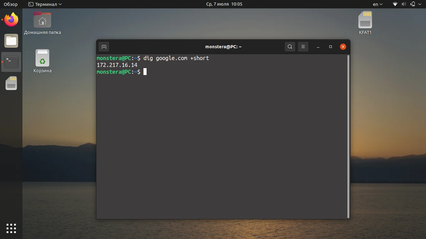 Dig в Linux: Полное руководство по мощному DNS-детективу