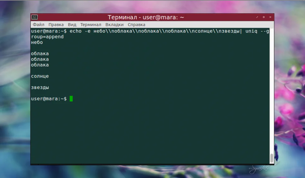 Uniq в Linux: Как легко найти и убрать дубликаты в тексте