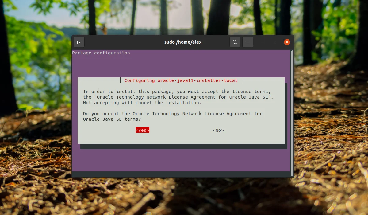 Java в Ubuntu 20.04: Полное руководство по установке всех версий