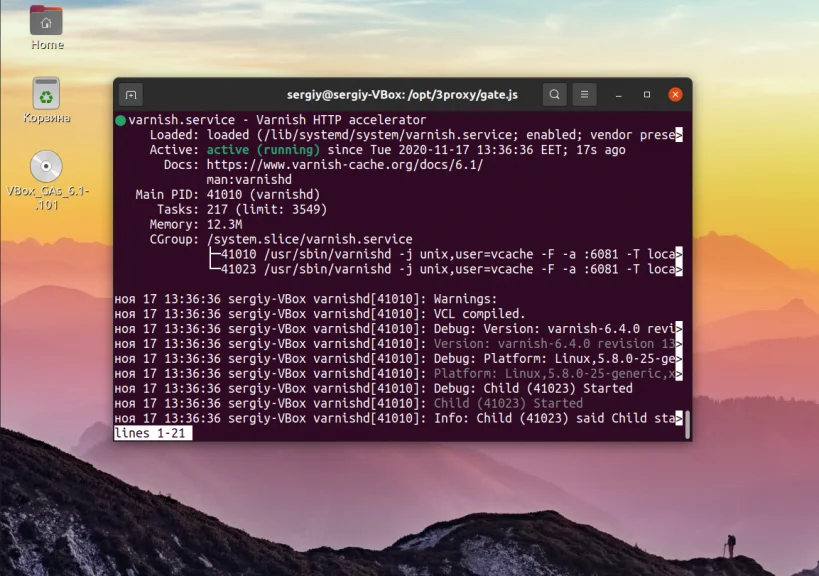 Топ-8 прокси-серверов для Linux: ускорение, безопасность и кеширование