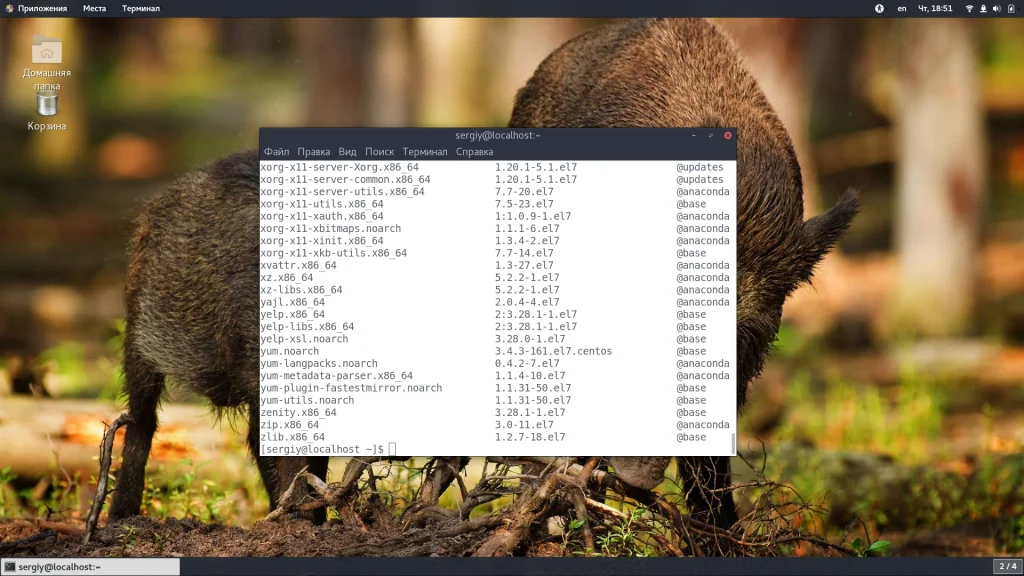 CentOS: Как узнать всё установленное ПО за 5 минут