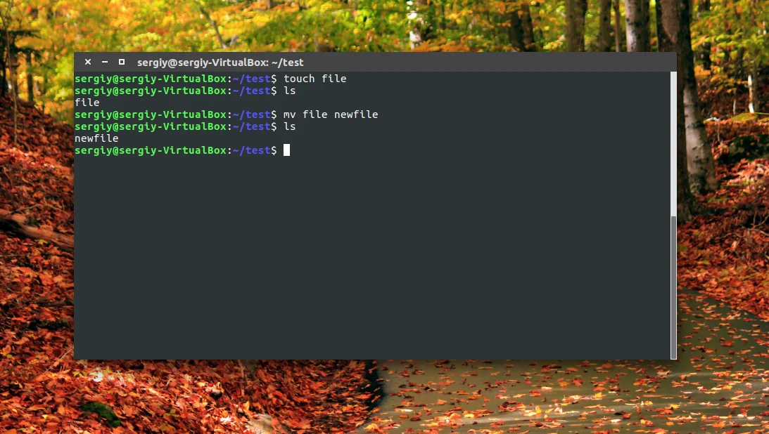 Переименование файлов в Linux: 3 способа для новичков и профи