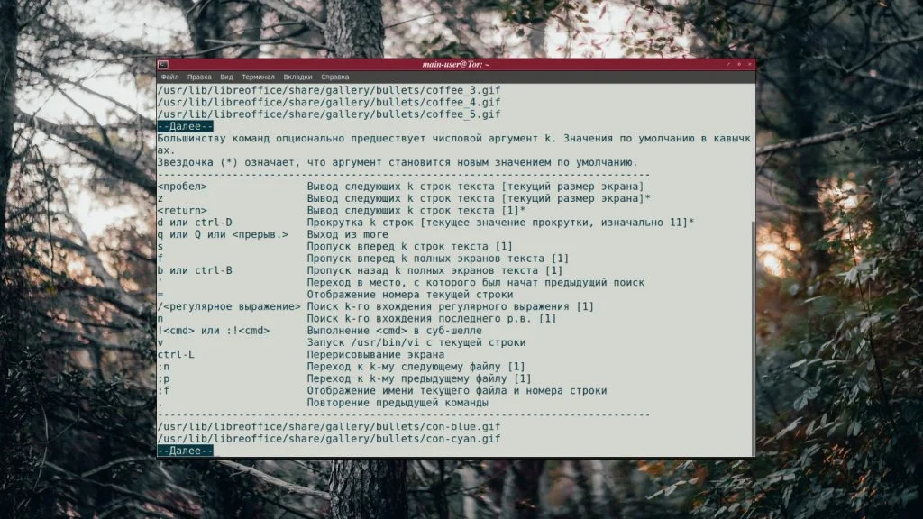 more в Linux: Как легко просматривать большие файлы в терминале