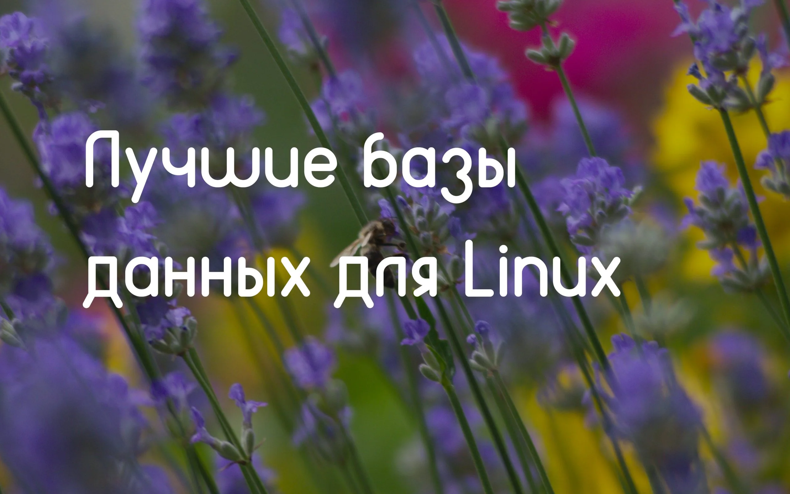 Топ-8 баз данных для Linux: выбираем идеальное решение для вашего проекта