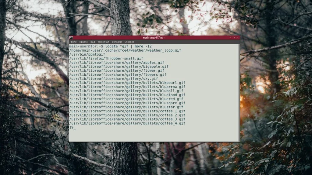 more в Linux: Как легко просматривать большие файлы в терминале