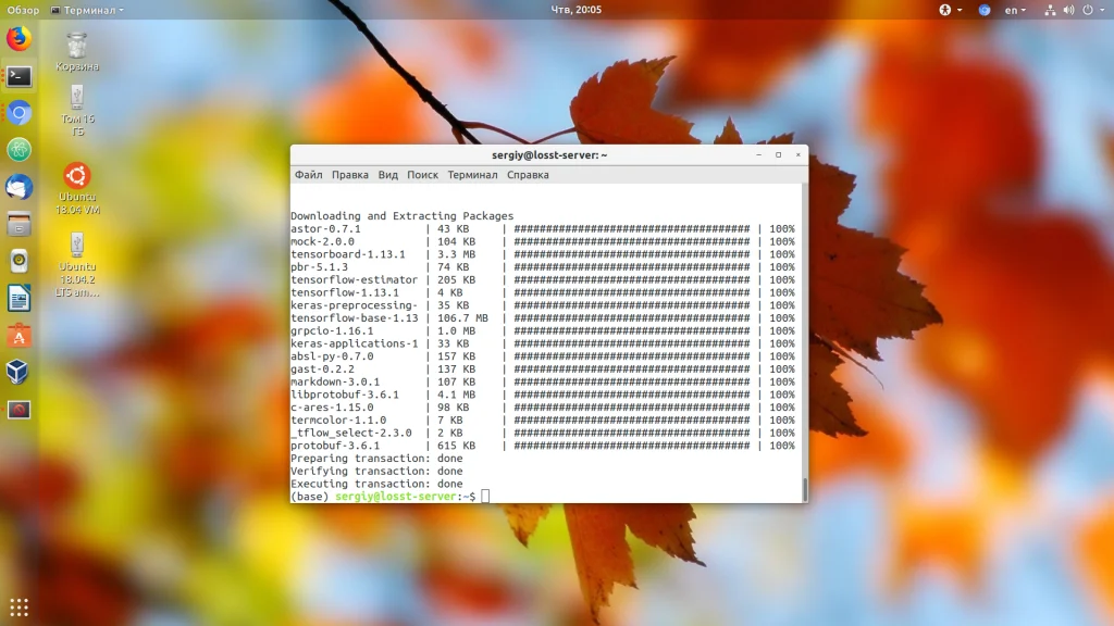 Anaconda в Ubuntu: Полный гайд по установке и настройке для Python-разработки