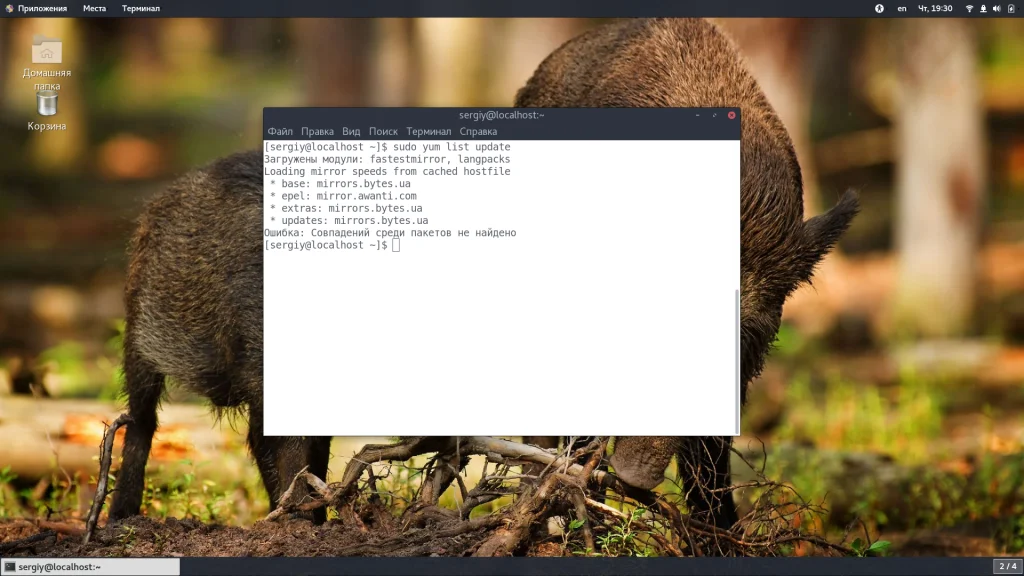 CentOS: Как узнать всё установленное ПО за 5 минут